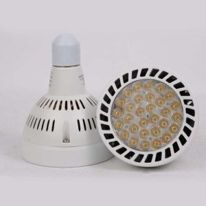 ECOLUX PAR30 Spotlight Light LED Bulbs E27 Base 45W